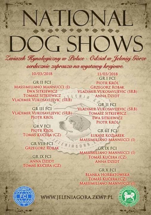 Apartamenty Karpacz na sprzedaż DOMO zapraszają na wystawę psów rasowych